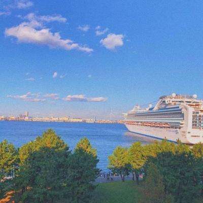 爱游戏APP·官方登录入口(ayx)app下载