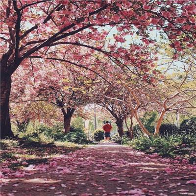 BO半岛综合app安全下载下载手机版