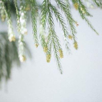 真人百家家乐网站