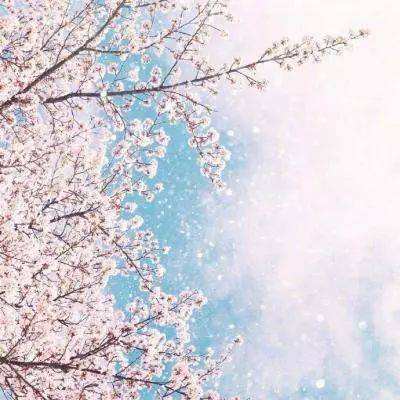 三亿体育手机app下载