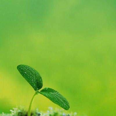 安博.体育下载手机版