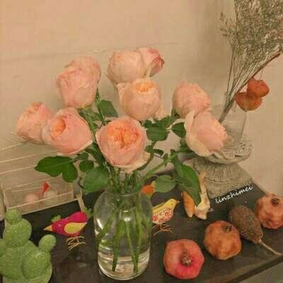 域网棋牌游戏下载手机版