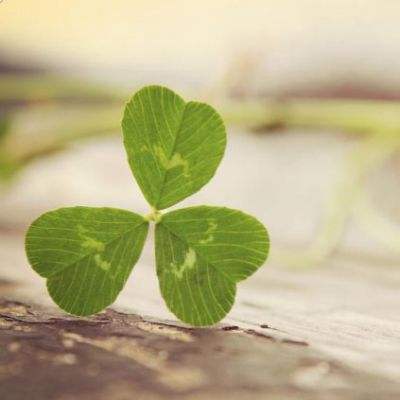 宝威体育下载手机版