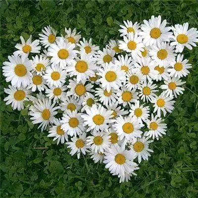 经典牛牛app下载截图